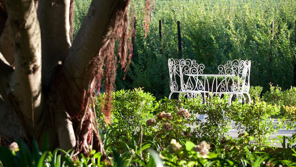 Brenaissance Wine & Stud Estate Hotel Stellenbosch Exterior photo